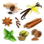 herbs-spices-set_1284-12595