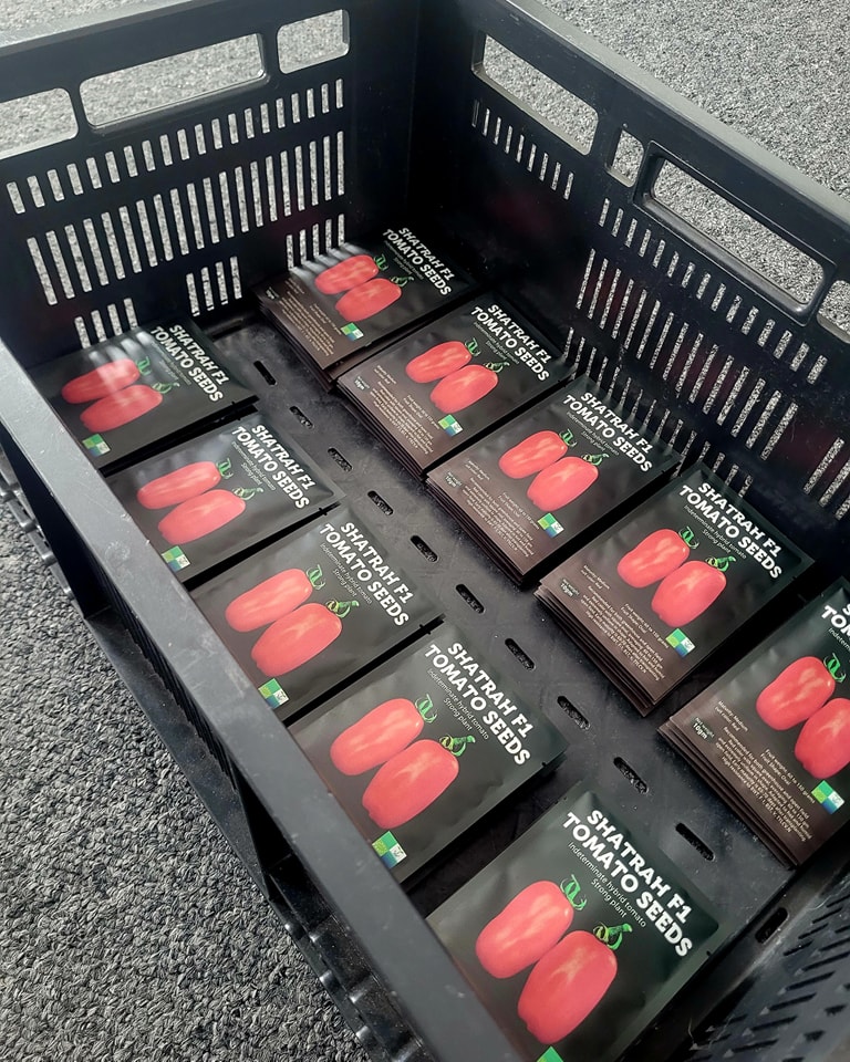 shatrah f1 tomato seed